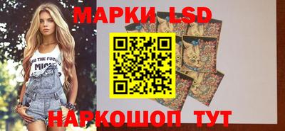 гашик Абакан
